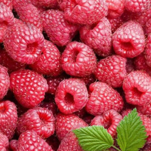 Frozen raspberry